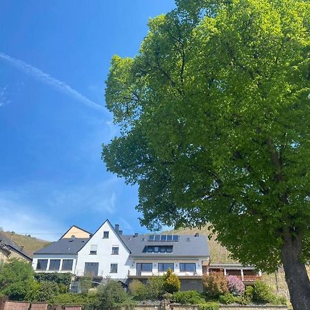 Chateau-De-La-Moselle Kinheim ภายนอก รูปภาพ