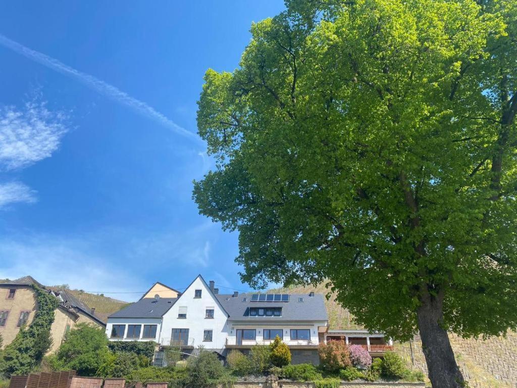 Chateau-De-La-Moselle Kinheim ภายนอก รูปภาพ